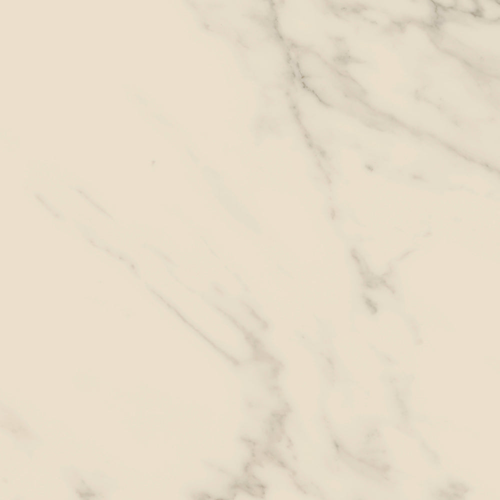 Access Point in Statuario White Tile