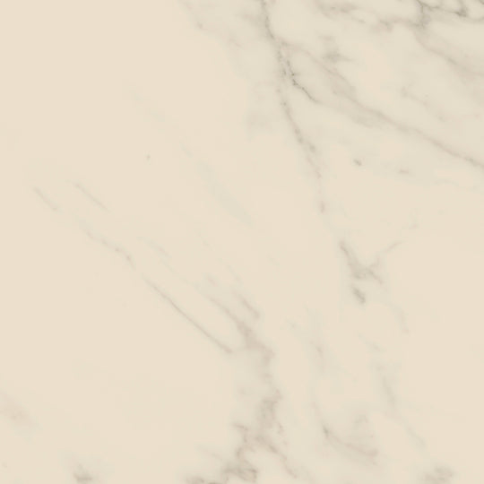 Access Point in Statuario White