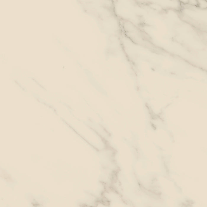 Access Point in Statuario White Tile