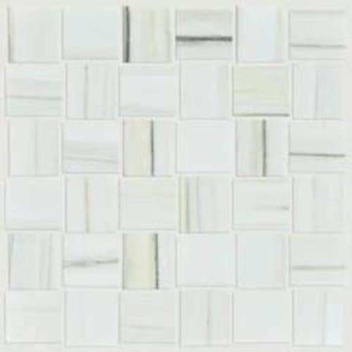 CASINO MOSAIC POLISHED in Zebrino