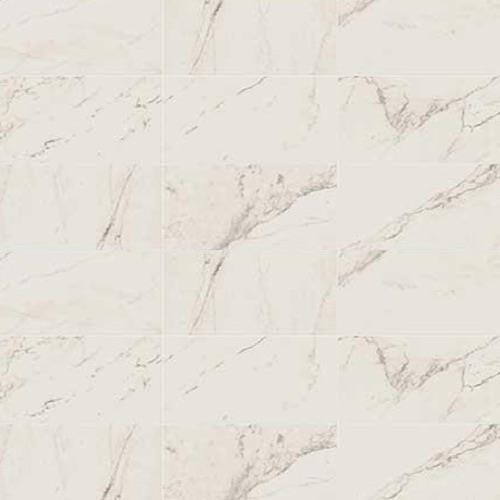 Classentino Marble in Palazzo White Polished - 24x24 Tile