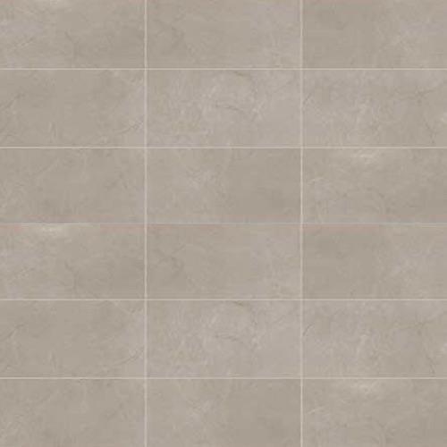Classentino Marble in Coliseum Gray Matte - 12x24 Tile