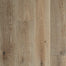 SHAW WOOD in Biscuit Hardwood