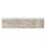 Cavatina in Melodic - 3x13 Bullnose Tile