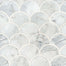 Calacatta Cressa in Calacatta Blanco Scallop Polished Natural Stone