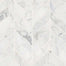 Calacatta Cressa in Calacatta Cressa Leaf Pattern Honed Natural Stone