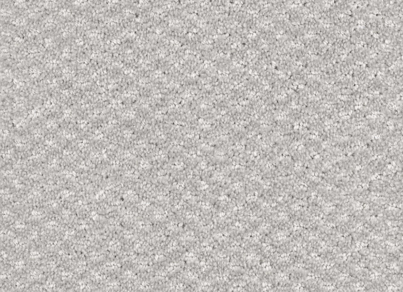 Calm in Cozy Carpet