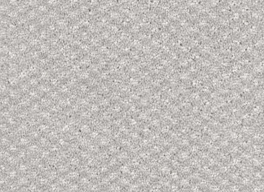 Calm in Cozy Carpet