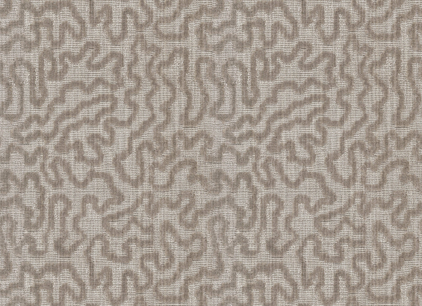 Celebration in Stone Path Carpet