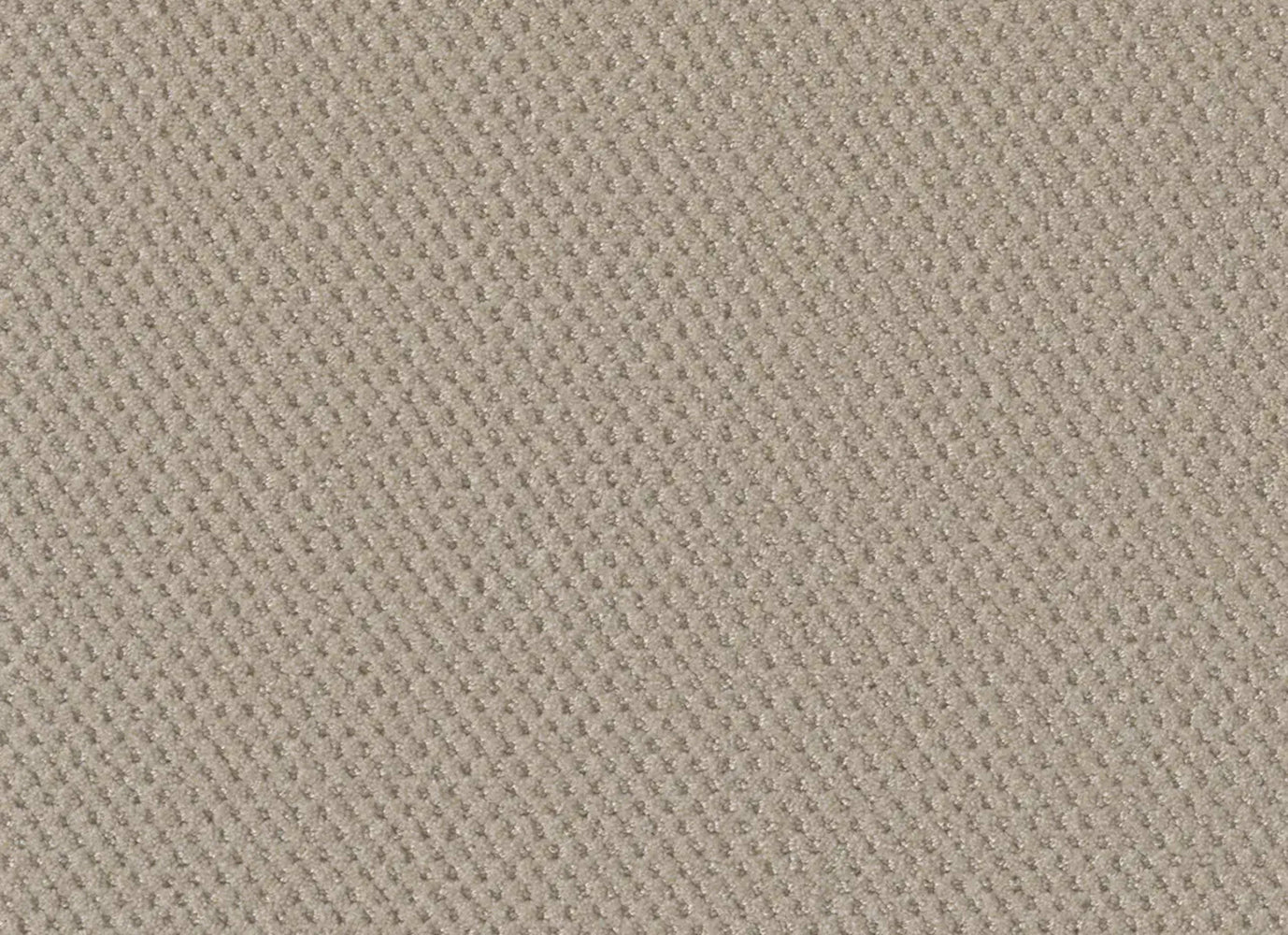 Prime in Champagne Fizz Carpet