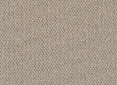 Prime in Champagne Fizz Carpet