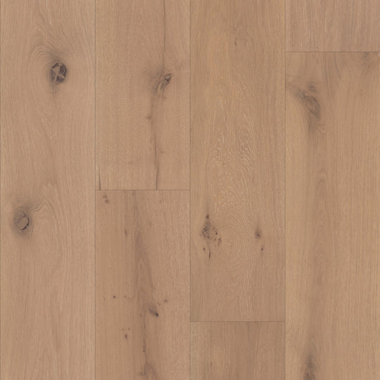 Chateau in Allier Oak