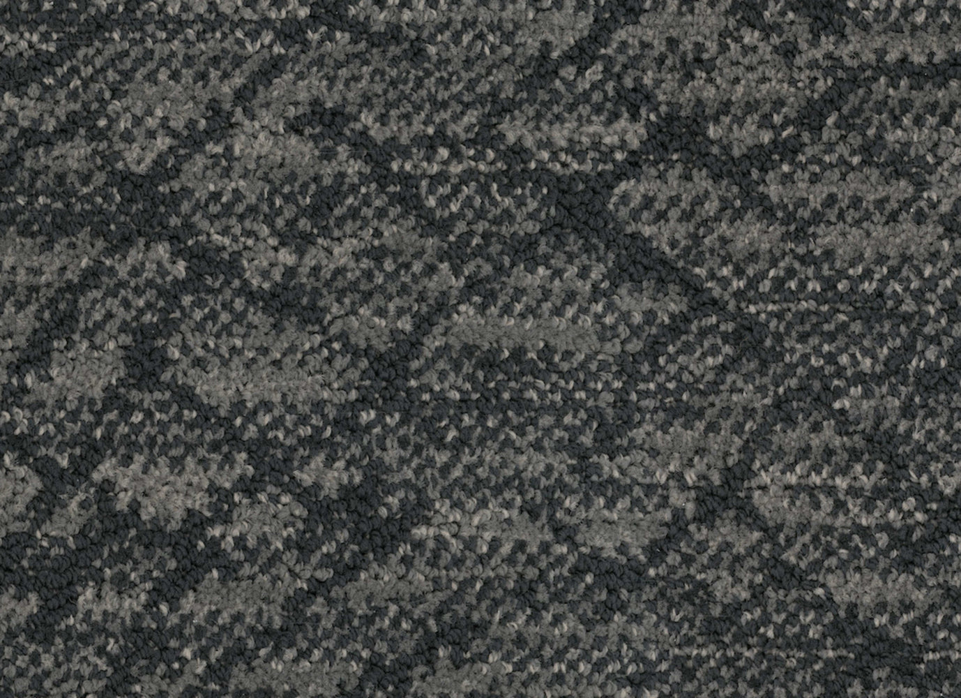 Circuitry in Oasis Carpet