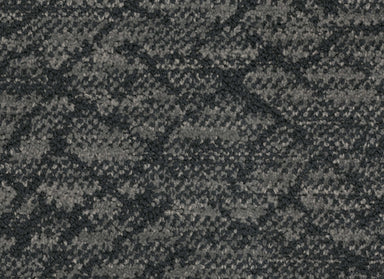 Circuitry in Oasis Carpet