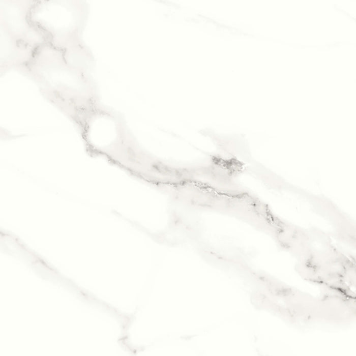 Contessa in Dama 11" X 23" Polished Tile