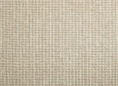 Costa Calma in Greige Carpet