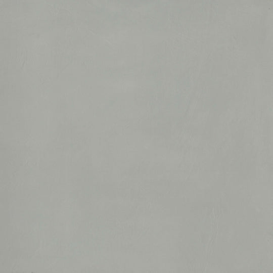 Council in Gray 12" X 24" Matte