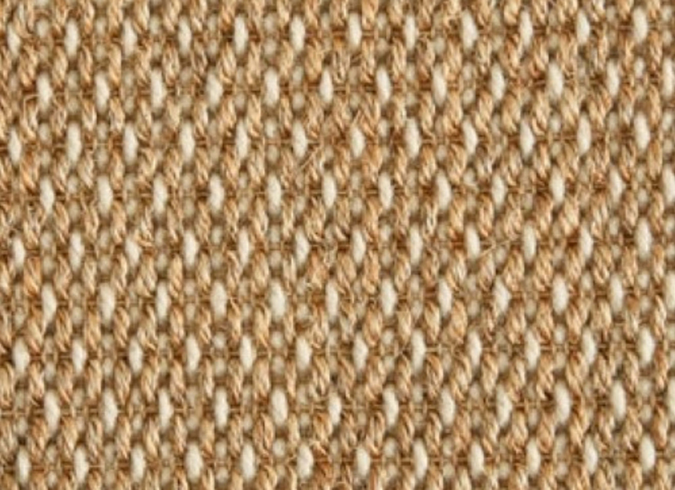 Curacao in Honey Carpet