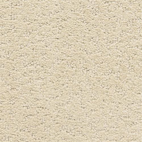 Prize Winner in Windfall Carpet