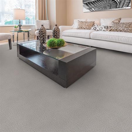 Victor in First Choice Carpet