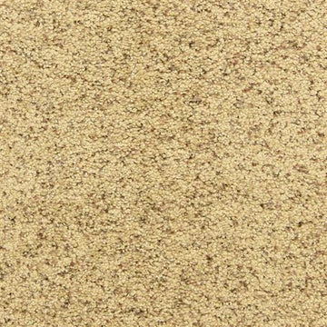 Pebble Mosaic