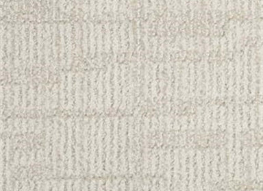 Template in Quiet Carpet