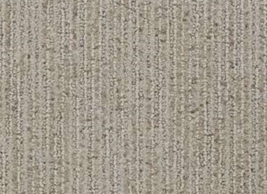 Suspicion in Burnish Carpet