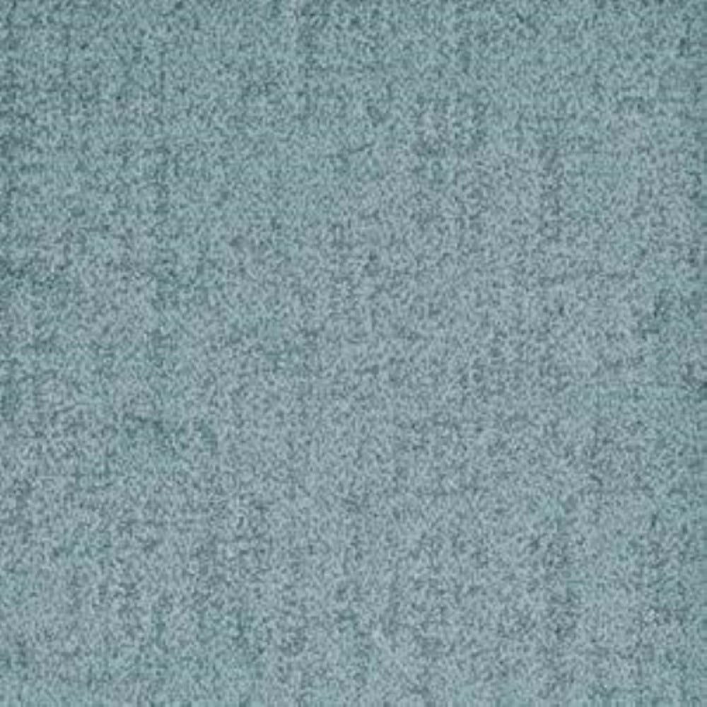 Authentic in Proven Carpet