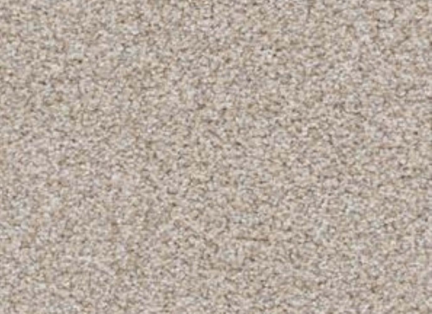 Top Dog in Shar-Pei Carpet