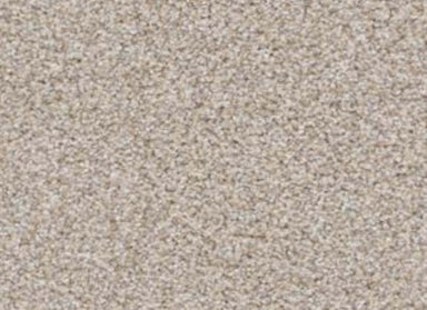 Top Dog in Shar-Pei Carpet