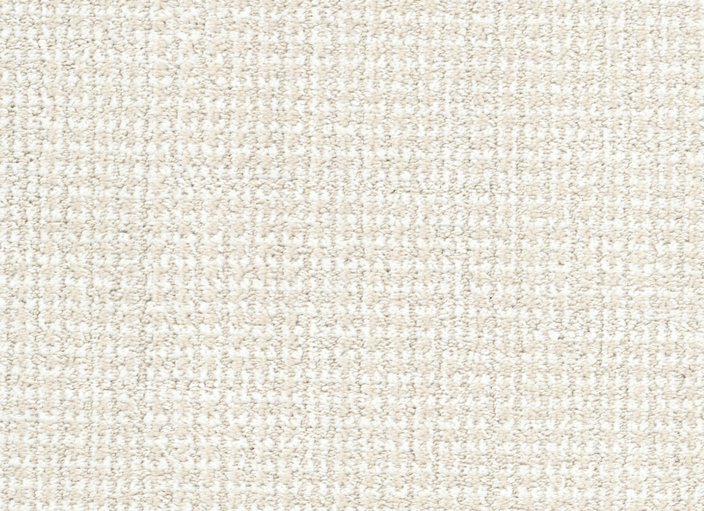 Tabby in Sphynx Carpet