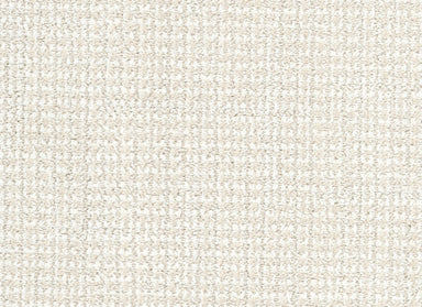 Tabby in Sphynx Carpet