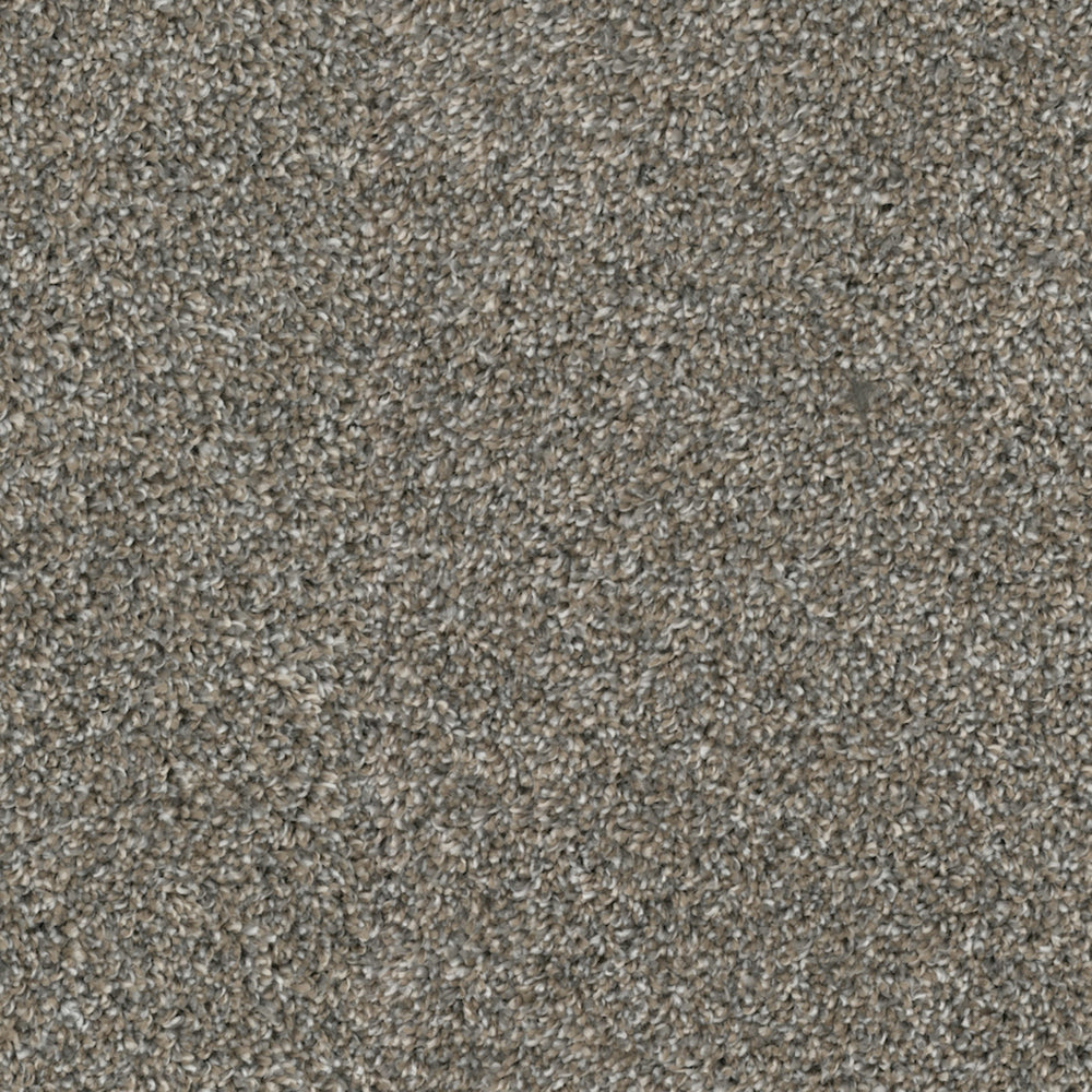 Big Idea in River Rock Carpet