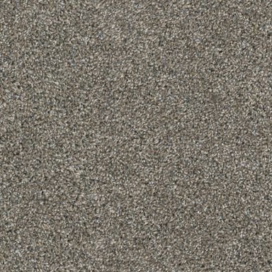 Big Idea in River Rock Carpet