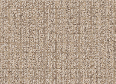 Charming in Ivory Carpet