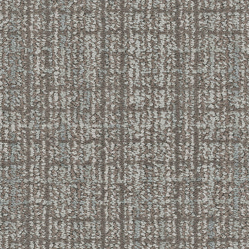 Chinchilla