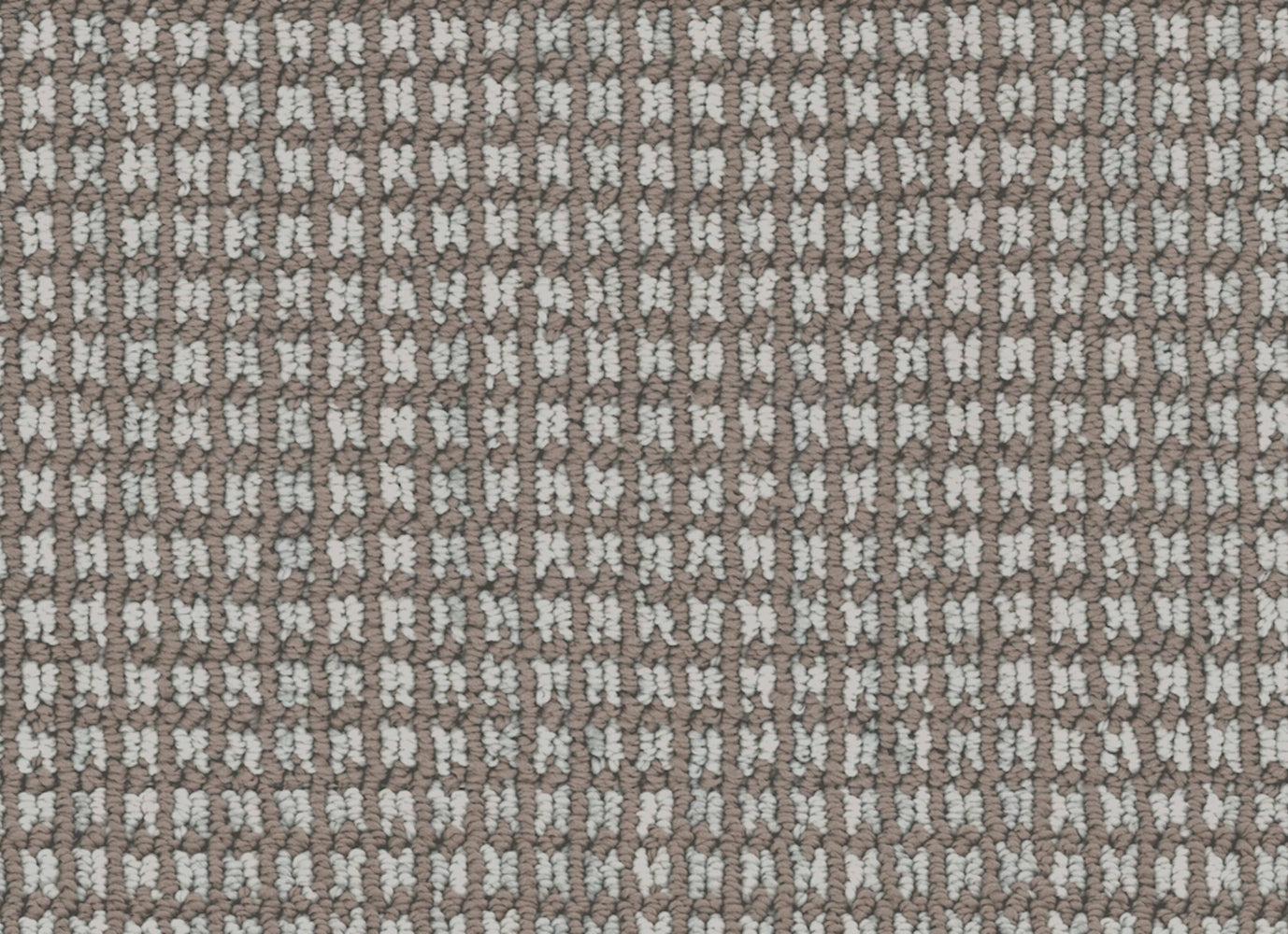 Haven in Chinchilla Carpet