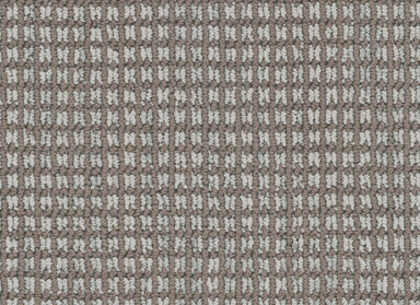 Haven in Chinchilla Carpet