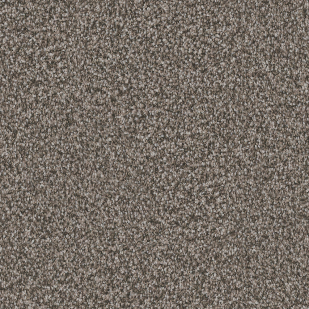 Affection in Hematite Carpet