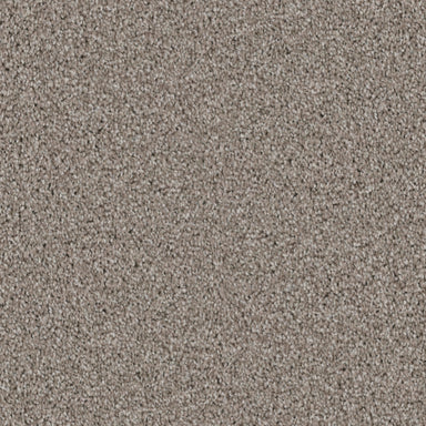 Admiration in Landmark Carpet