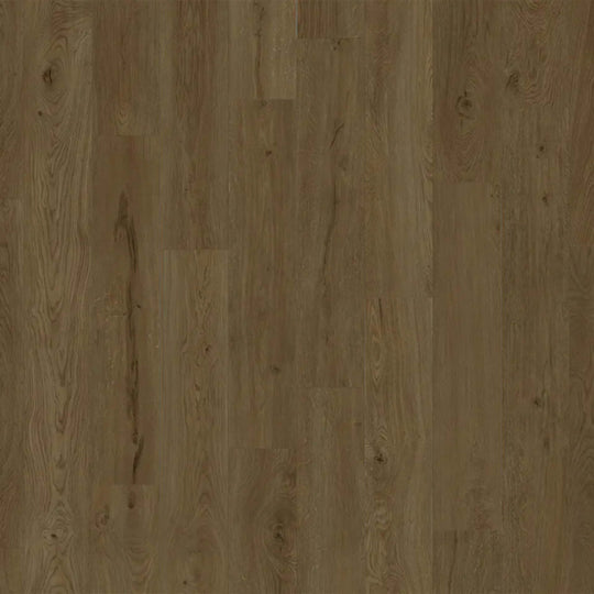 American Standard in Biscayne