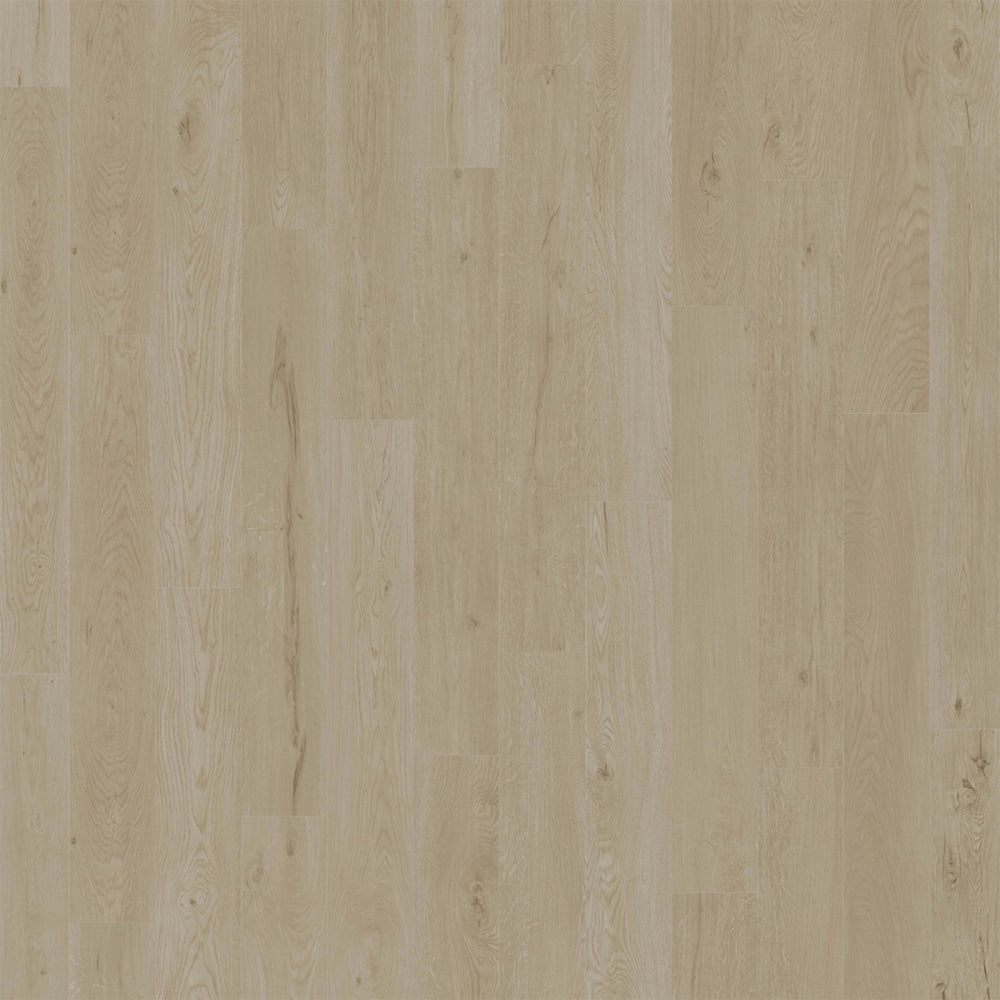 American Standard in Alys Luxury Vinyl