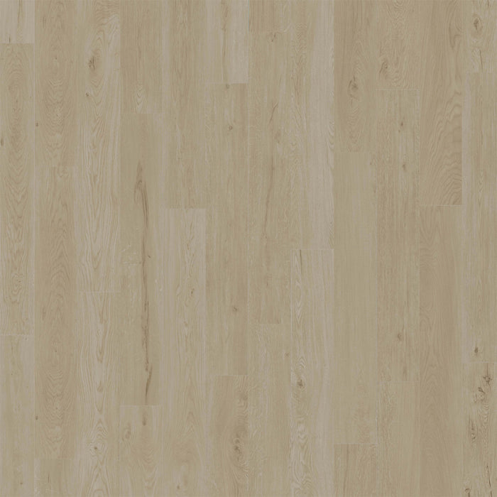 American Standard in Alys Luxury Vinyl