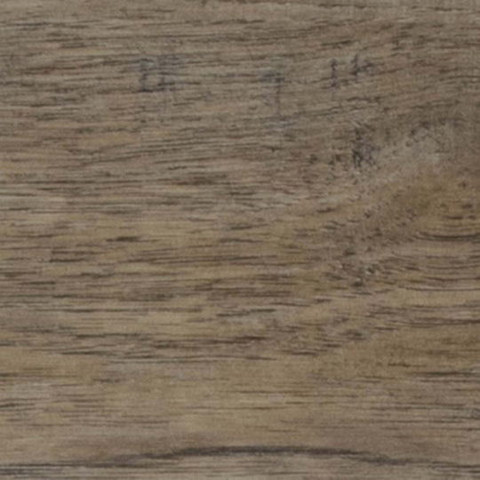 ProSeries - Adventuro in Forest