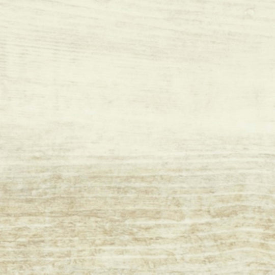 ProSeries - Adventuro in Intrepid