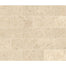 Parksville Stone in Kalahari Beige 3x6 Natural Stone