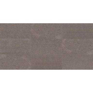 Parksville Stone in Matterhorn  12x24 Natural Stone