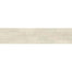 Center City in Carlton Beige 8" Polished Natural Stone
