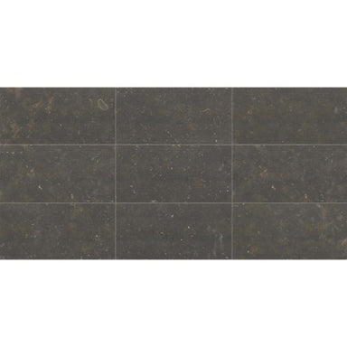 Center City in Chadwick Charcoal 4x12 Polished Natural Stone