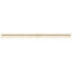 Marble Collection in Latte Decorative Honed .75x12 Natural Stone